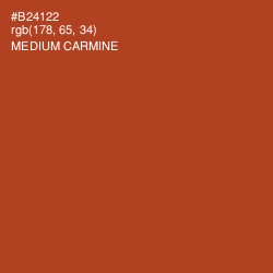 #B24122 - Medium Carmine Color Image