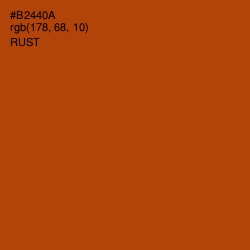 #B2440A - Rust Color Image