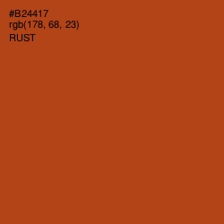 #B24417 - Rust Color Image