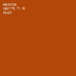 #B24709 - Rust Color Image