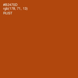 #B2470D - Rust Color Image