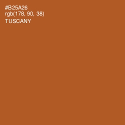 #B25A26 - Tuscany Color Image