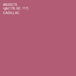 #B25C75 - Cadillac Color Image