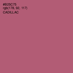 #B25C75 - Cadillac Color Image