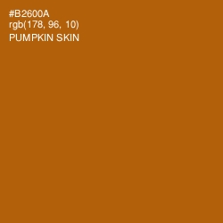 #B2600A - Pumpkin Skin Color Image