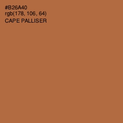 #B26A40 - Cape Palliser Color Image