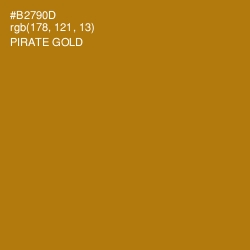 #B2790D - Pirate Gold Color Image