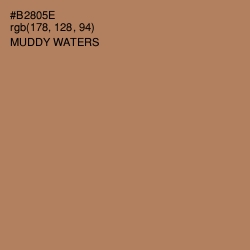 #B2805E - Muddy Waters Color Image