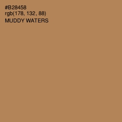 #B28458 - Muddy Waters Color Image