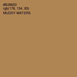 #B28653 - Muddy Waters Color Image