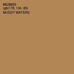 #B28655 - Muddy Waters Color Image
