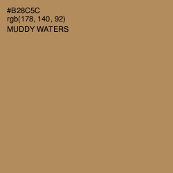 #B28C5C - Muddy Waters Color Image