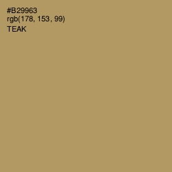 #B29963 - Teak Color Image