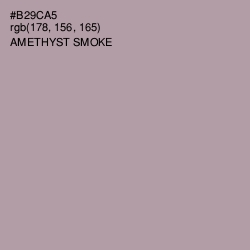 #B29CA5 - Amethyst Smoke Color Image