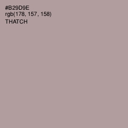 #B29D9E - Thatch Color Image