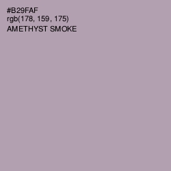 #B29FAF - Amethyst Smoke Color Image