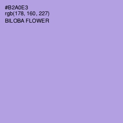 #B2A0E3 - Biloba Flower Color Image