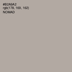 #B2A9A2 - Nomad Color Image