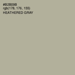 #B2B09B - Heathered Gray Color Image