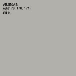 #B2B0AB - Silk Color Image