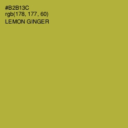 #B2B13C - Lemon Ginger Color Image