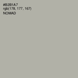#B2B1A7 - Nomad Color Image