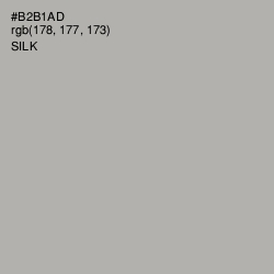 #B2B1AD - Silk Color Image