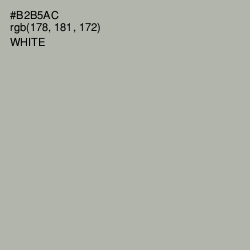#B2B5AC - Eagle Color Image