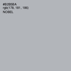 #B2B5BA - Nobel Color Image