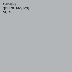 #B2B6B8 - Nobel Color Image