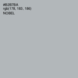 #B2B7BA - Nobel Color Image