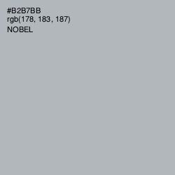 #B2B7BB - Nobel Color Image