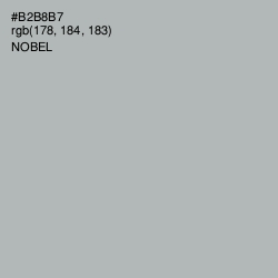 #B2B8B7 - Nobel Color Image