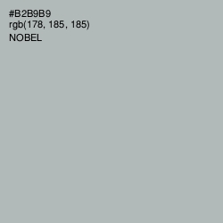 #B2B9B9 - Nobel Color Image