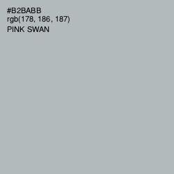 #B2BABB - Pink Swan Color Image