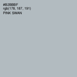 #B2BBBF - Pink Swan Color Image