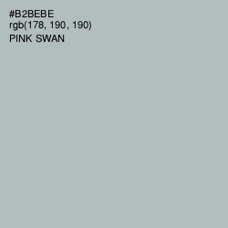 #B2BEBE - Pink Swan Color Image