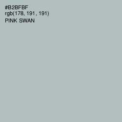 #B2BFBF - Pink Swan Color Image