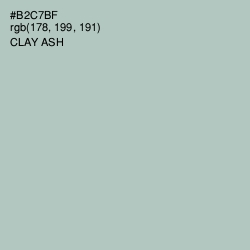 #B2C7BF - Clay Ash Color Image