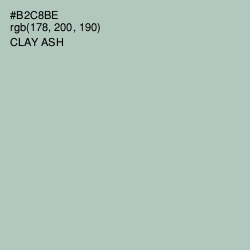 #B2C8BE - Clay Ash Color Image