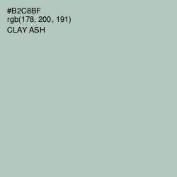 #B2C8BF - Clay Ash Color Image