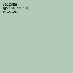 #B2CAB8 - Clay Ash Color Image