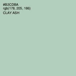 #B2CDBA - Clay Ash Color Image