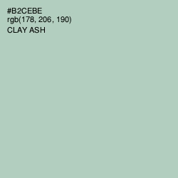 #B2CEBE - Clay Ash Color Image