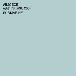 #B2CECE - Submarine Color Image
