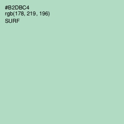 #B2DBC4 - Surf Color Image