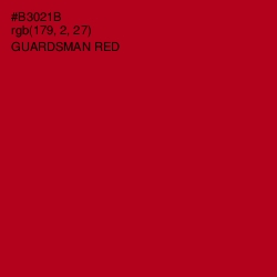 #B3021B - Guardsman Red Color Image