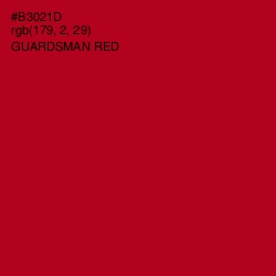 #B3021D - Guardsman Red Color Image