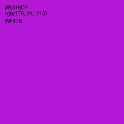 #B318D7 - Electric Violet Color Image