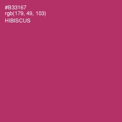 #B33167 - Hibiscus Color Image